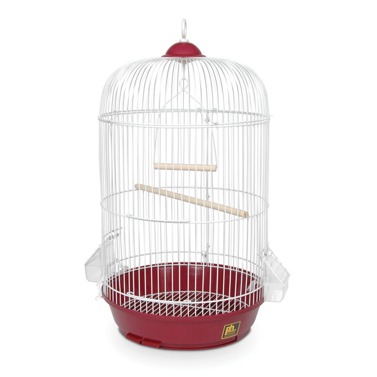 Prevue Hendryx 24" Plastic Dome Top Hanging Bird Cage with Perch